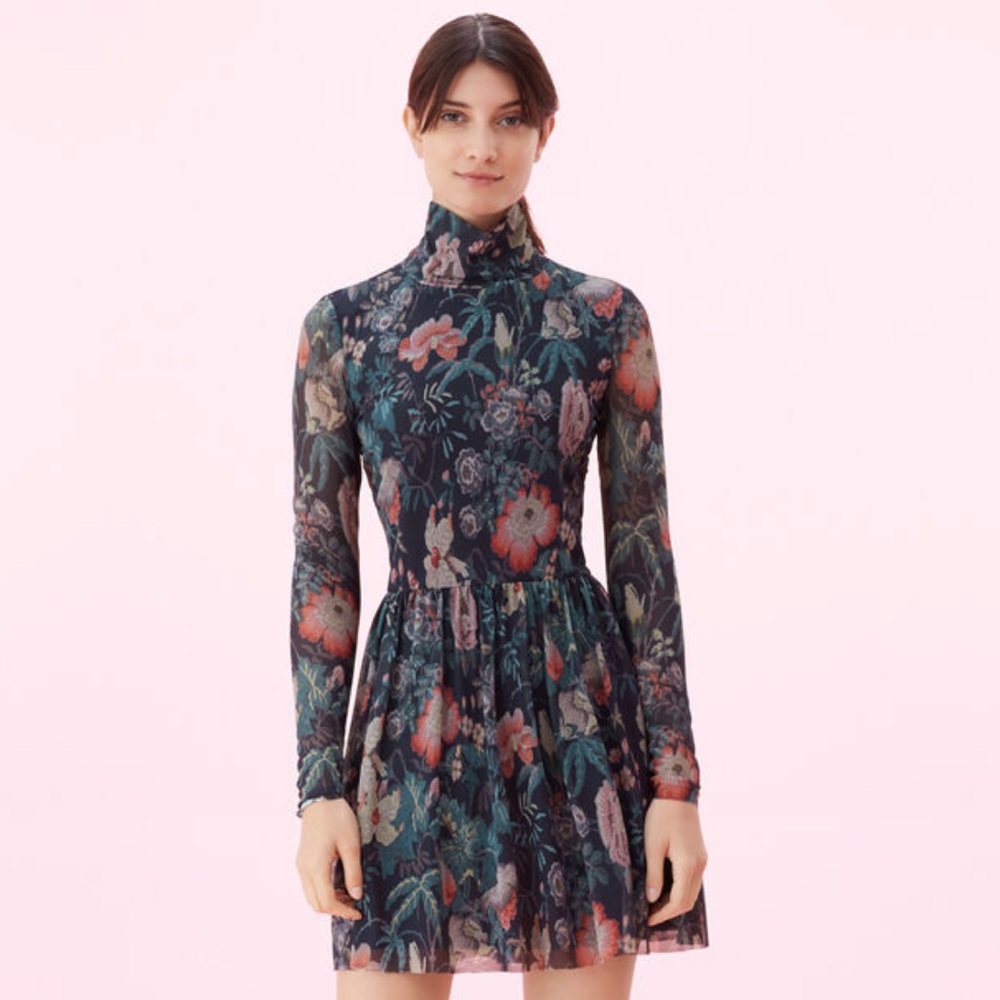 Rebecca Taylor, Small, La Vie Faded Garden Mesh Dress
